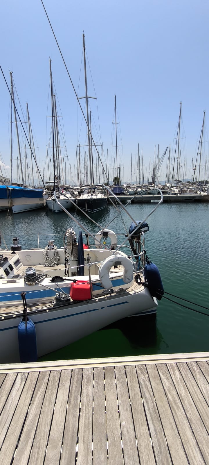 Stainless bimini frame